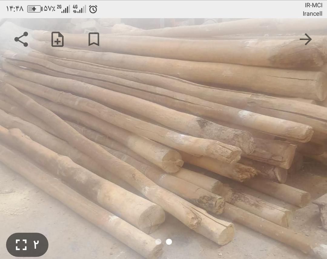 خرید ضایعات چوب گردو بید همراه با برش|خدمات باغبانی و درختکاری|شهرکرد, |دیوار