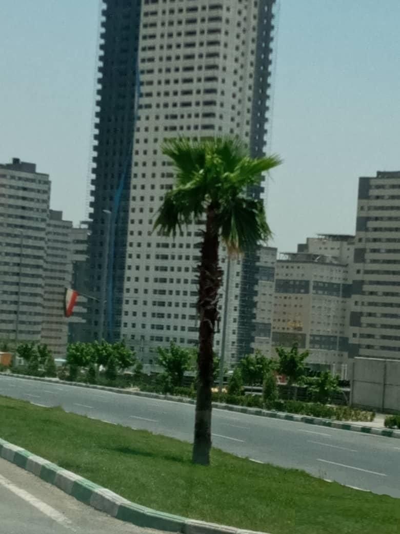 آپارتمان137 متری چیتگر برج پامچال 8 - b6|فروش آپارتمان|تهران, دریاچه شهدای خلیج فارس|دیوار