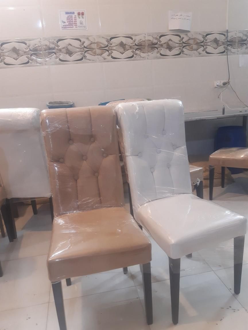 ناهار خوری ۶ نفره پا فیلی|مبلمان خانگی و میز عسلی|تهران, تهراننو|دیوار