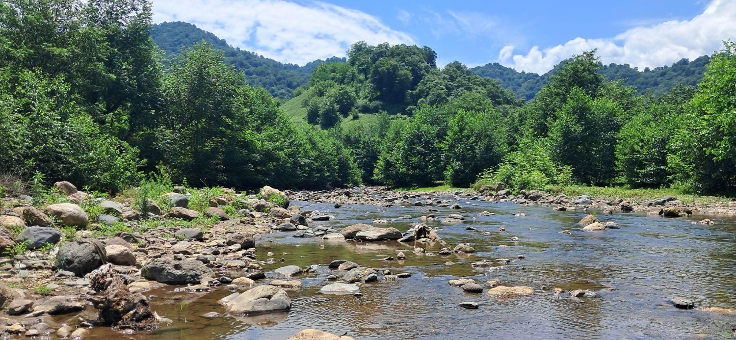 قلعه رودخان.دوبلکس.کنار رودخانه.دربست.ویو بی نظیر|اجارهٔ کوتاه‌مدت ویلا و باغ|فومن, |دیوار