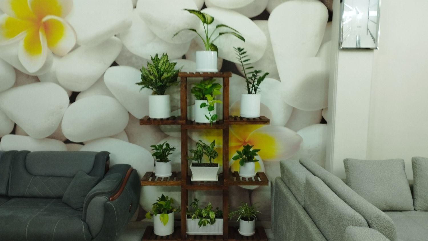 استند گل ۱۰ طبقه|گل و گیاه طبیعی|اسلام‌شهر, چیچکلو|دیوار