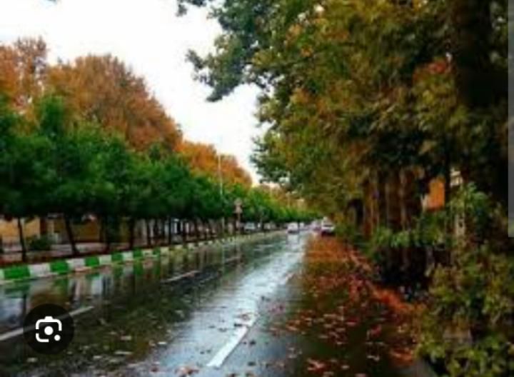 دفتر کار بر ارم طبق شرایط مندرج|اجارهٔ دفتر کار، اتاق اداری، مطب|شیراز, ارم|دیوار