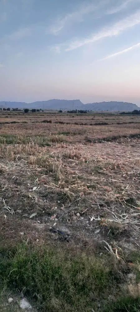 فروش ملک کشاورزی گچساران دشت بزرگ لیشتر|فروش دفتر صنعتی، کشاورزی، تجاری|دوگنبدان, |دیوار