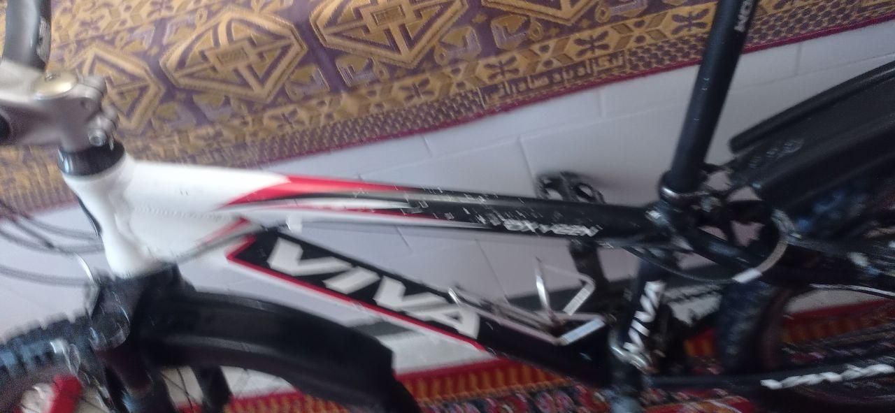 دوچرخه 24 ویوا اکسیژن|دوچرخه، اسکیت، اسکوتر|خرمآباد, |دیوار