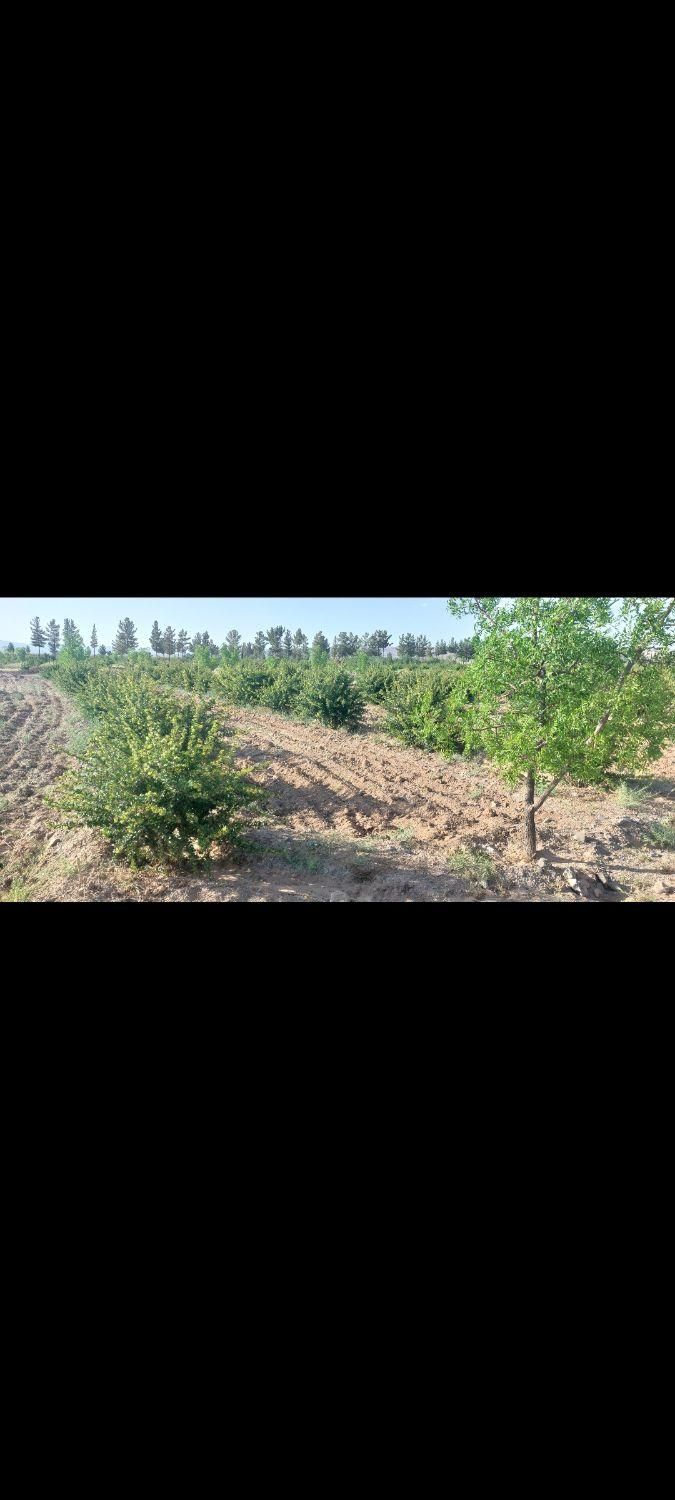 تصویر 2