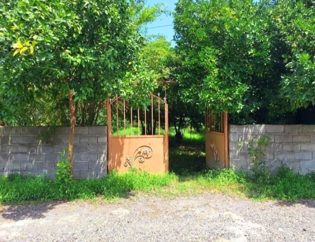زمین جنگل ویوابدی*شهرک تهرانی/سنددار315متری|فروش زمین و ملک کلنگی|نوشهر, |دیوار