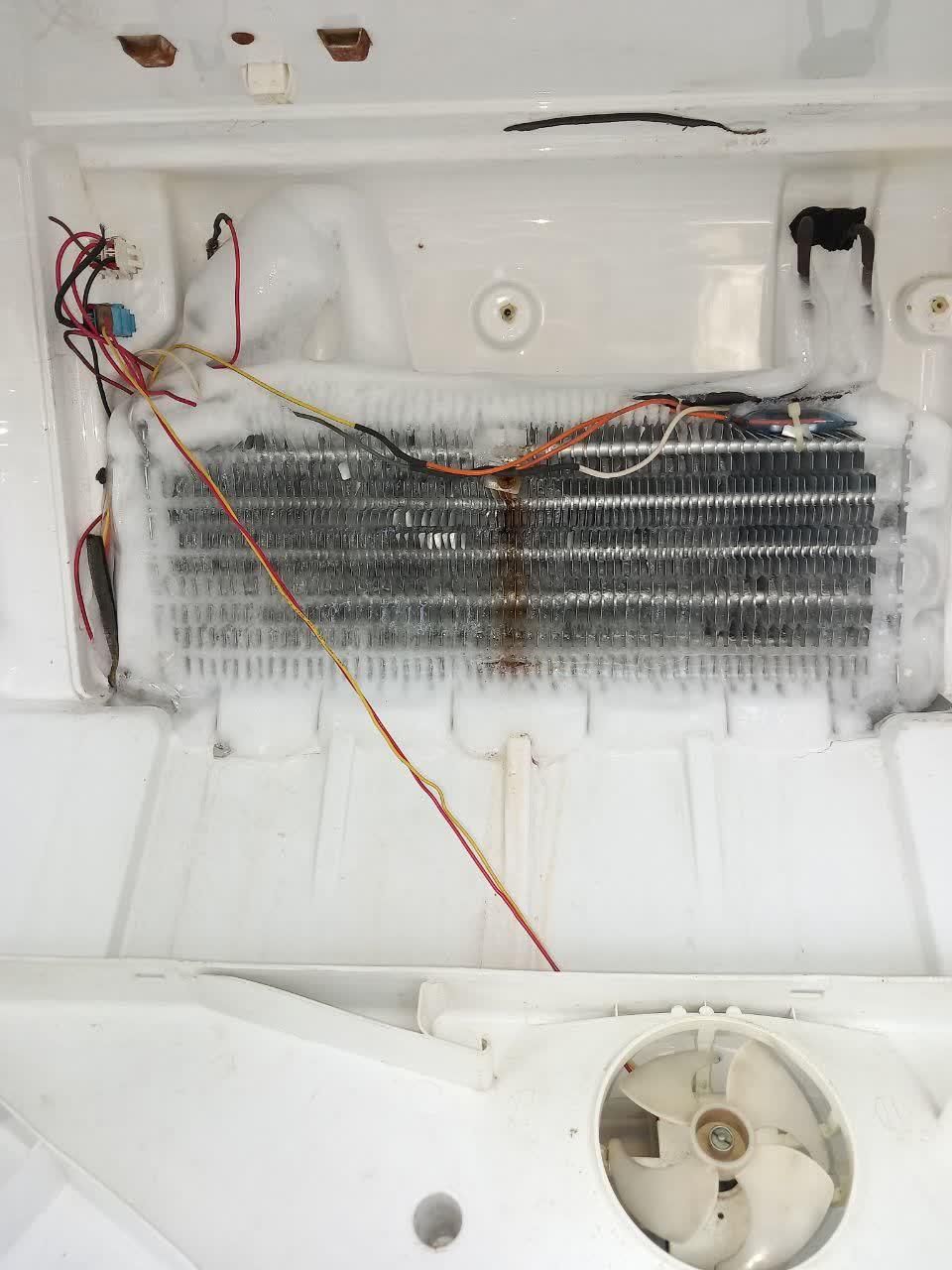 تعمیر انواع یخچال خانگی و فروشگاهی|خدمات پیشه و مهارت|زرقان, |دیوار