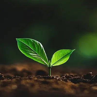 کلینیک تخصصی ترک اعتیاد|خدمات آرایشگری و زیبایی|مشهد, سرافرازان|دیوار