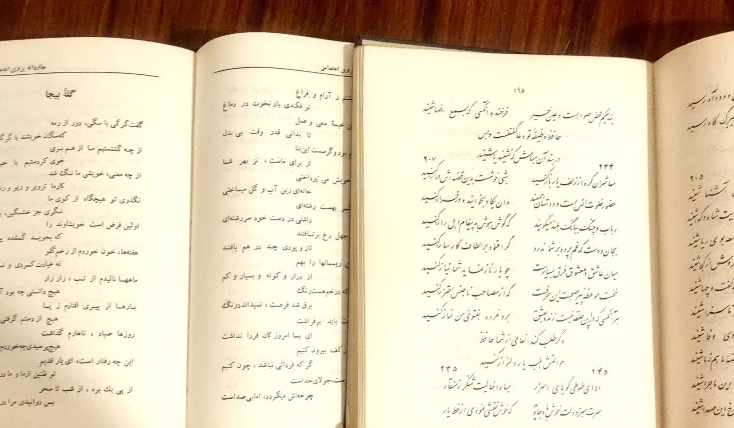 دیوان حافظ و پروین اعتصامی (اصل)|کتاب و مجله ادبی|تهران, فلسطین (میدان انقلاب)|دیوار