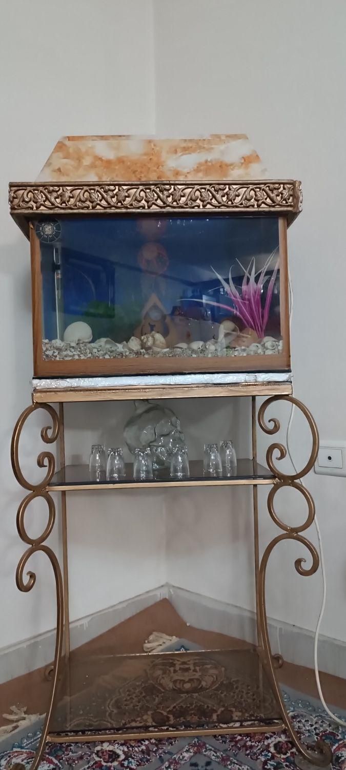 آکواریوم شیشه خم شرکتی با تمام وسایلش|ماهی|رباطکریم, مسکن مهر آبشناسان|دیوار