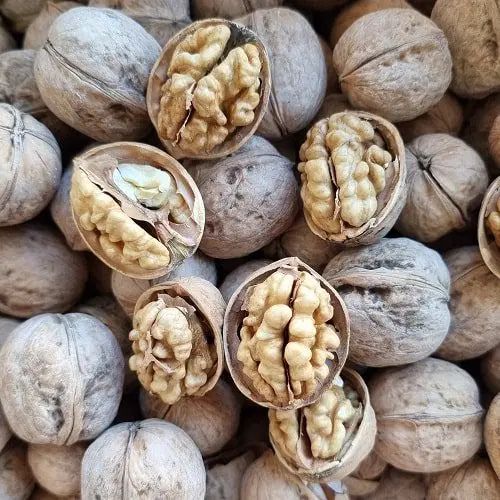 روغن زرد اصل،کره حیوانی اصل|خوردنی و آشامیدنی|تهران, توحید|دیوار