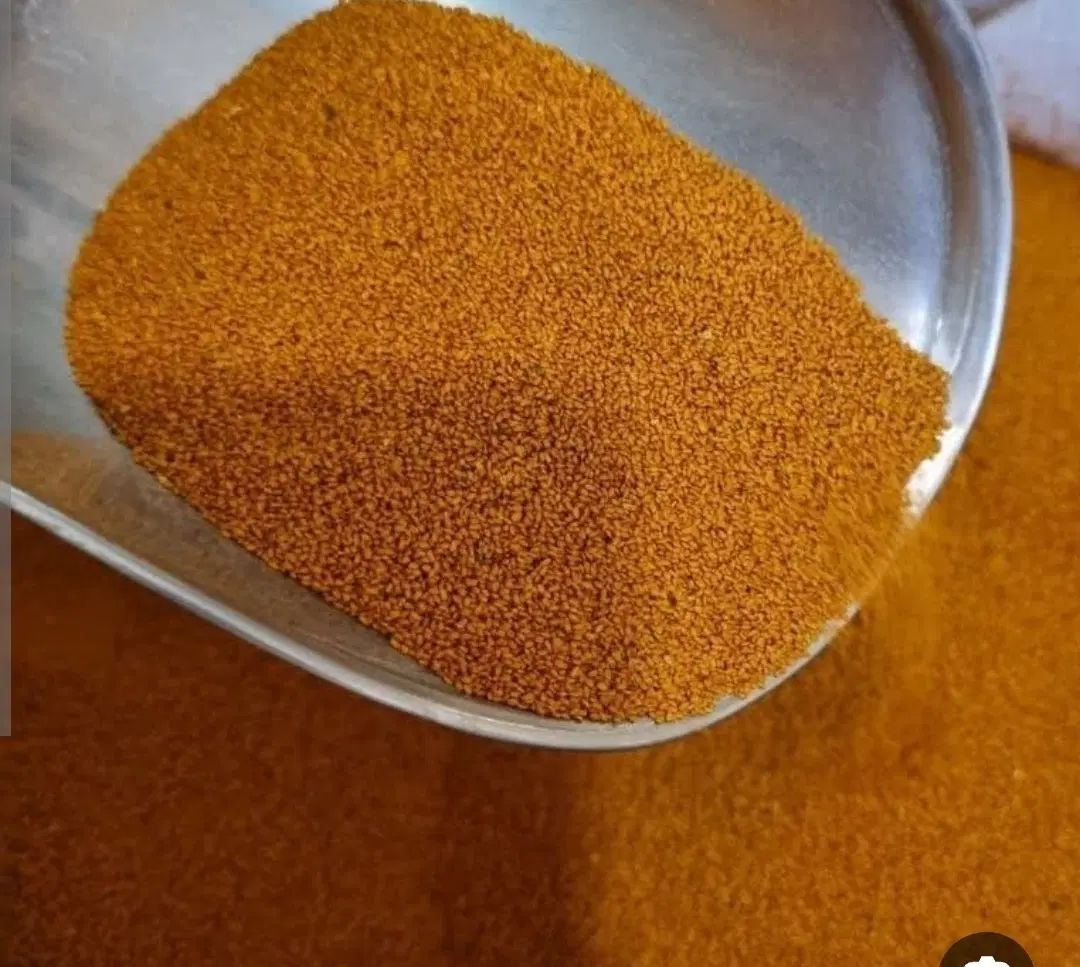 فروش خاکشیر تازه و بومی همدان بصورت عمده و جزئی|خوردنی و آشامیدنی|کاشان, شهرک خاتم الانبیا (مسکن ملی کاشان)|دیوار