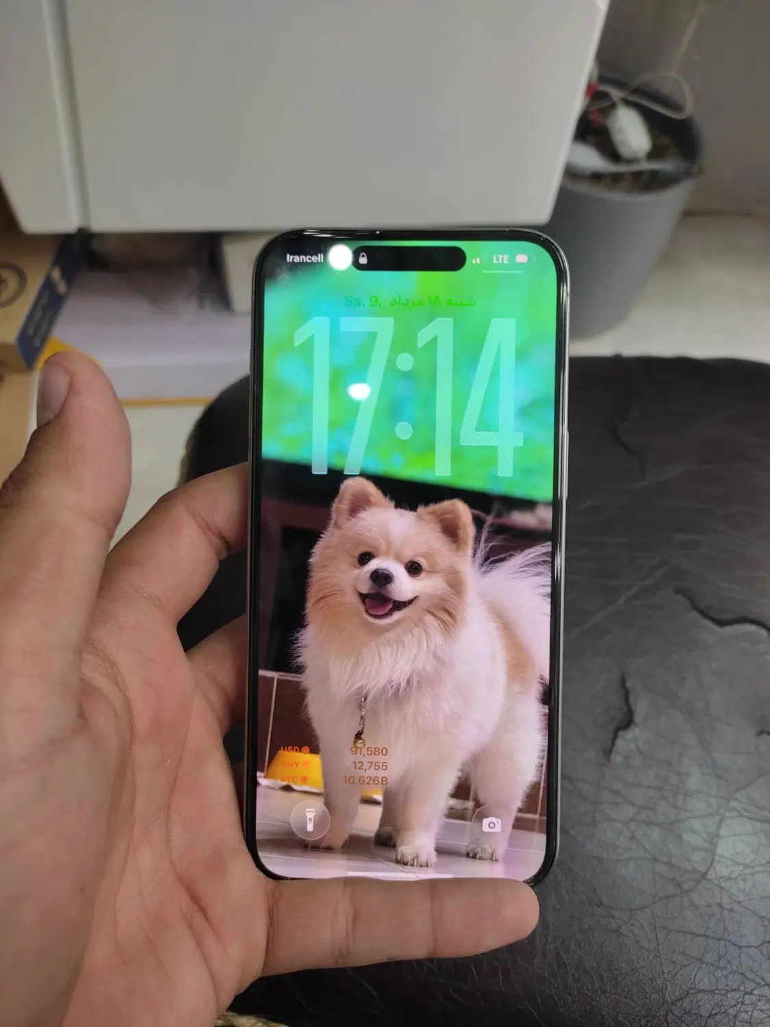 اپل iPhone 15 Pro Max با حافظهٔ ۲۵۶ گیگابایت|موبایل|کرج, کوی کارمندان جنوبی|دیوار