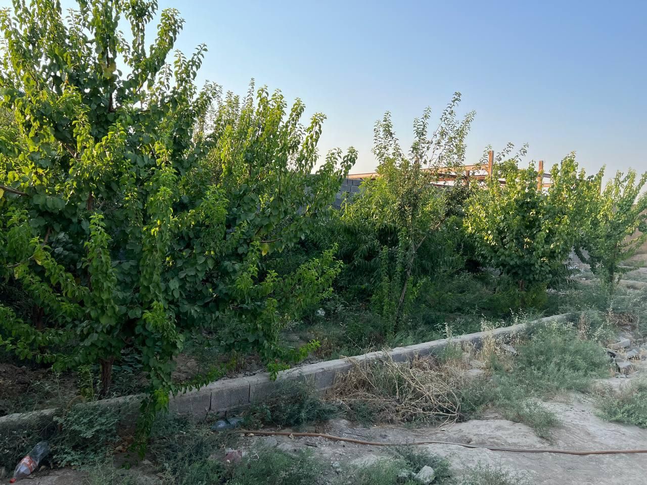 فروش زمین چهاردیواری ۷۰۰ متری نیمه کاره|فروش زمین و ملک کلنگی|رباط‌کریم, وهن آباد|دیوار