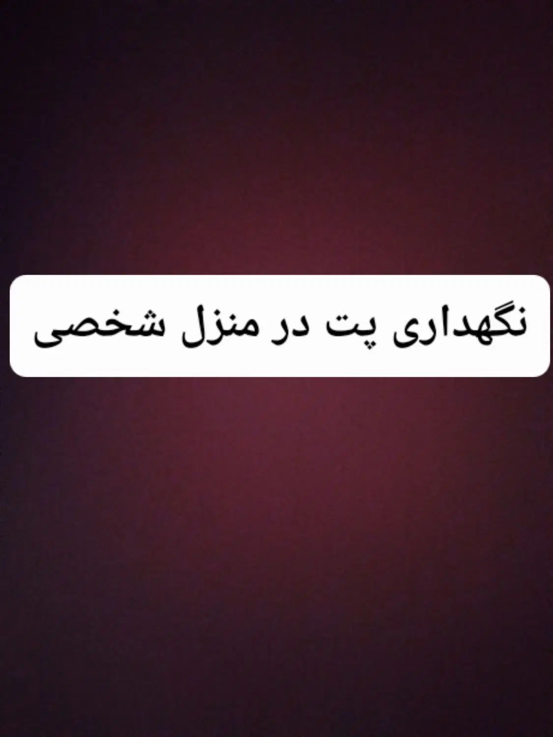 سگ گربه پنده|سگ|تهران, فلاح|دیوار
