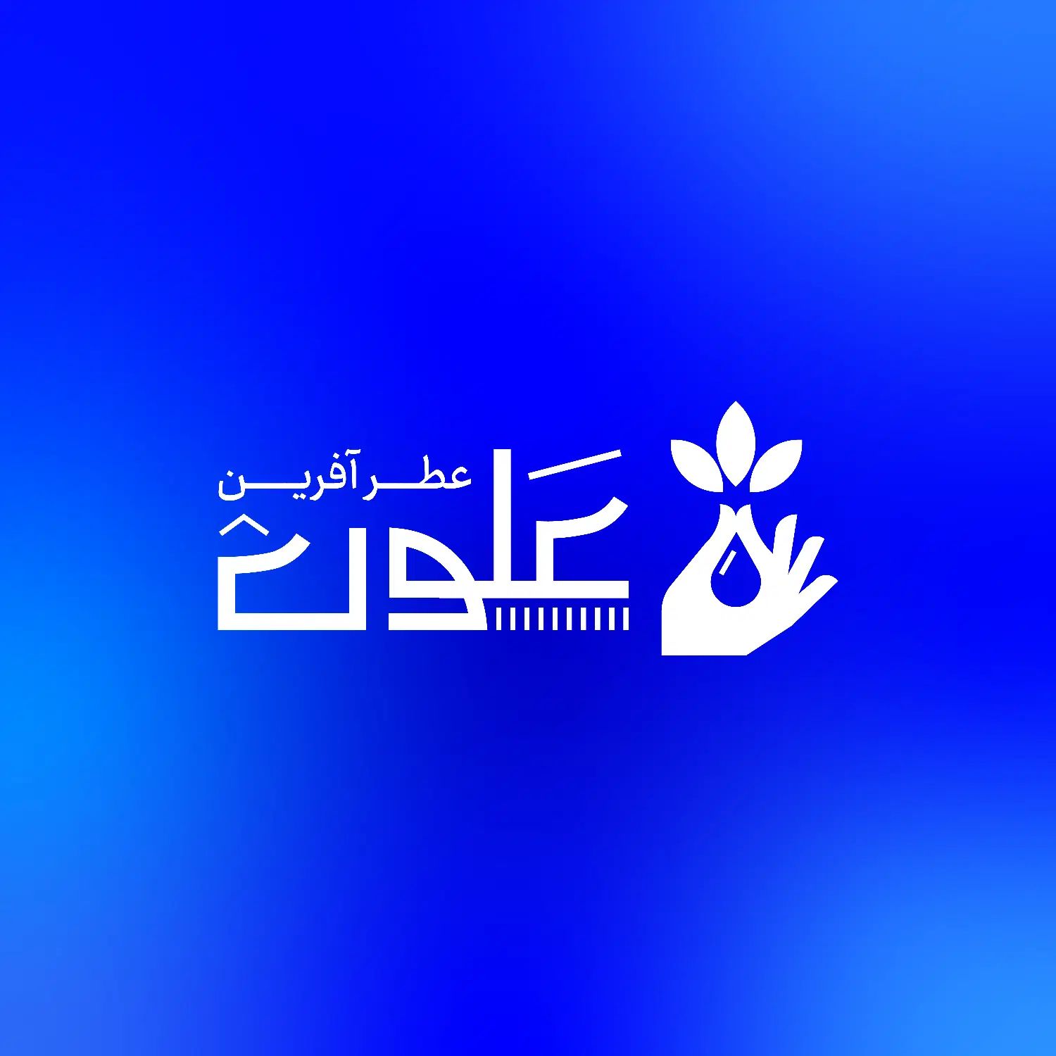 طراحی لوگو با قابلیت ثبت برند|خدمات رایانه‌ای و موبایل|تبریز, |دیوار
