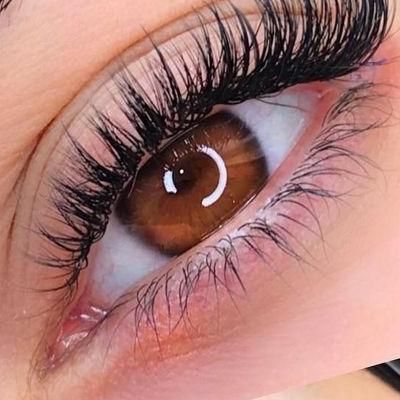 اکستنشن مژه ولیفت با سبک خاص خودت متفاوت باش|خدمات آرایشگری و زیبایی|اصفهان, شیخ اشراق|دیوار