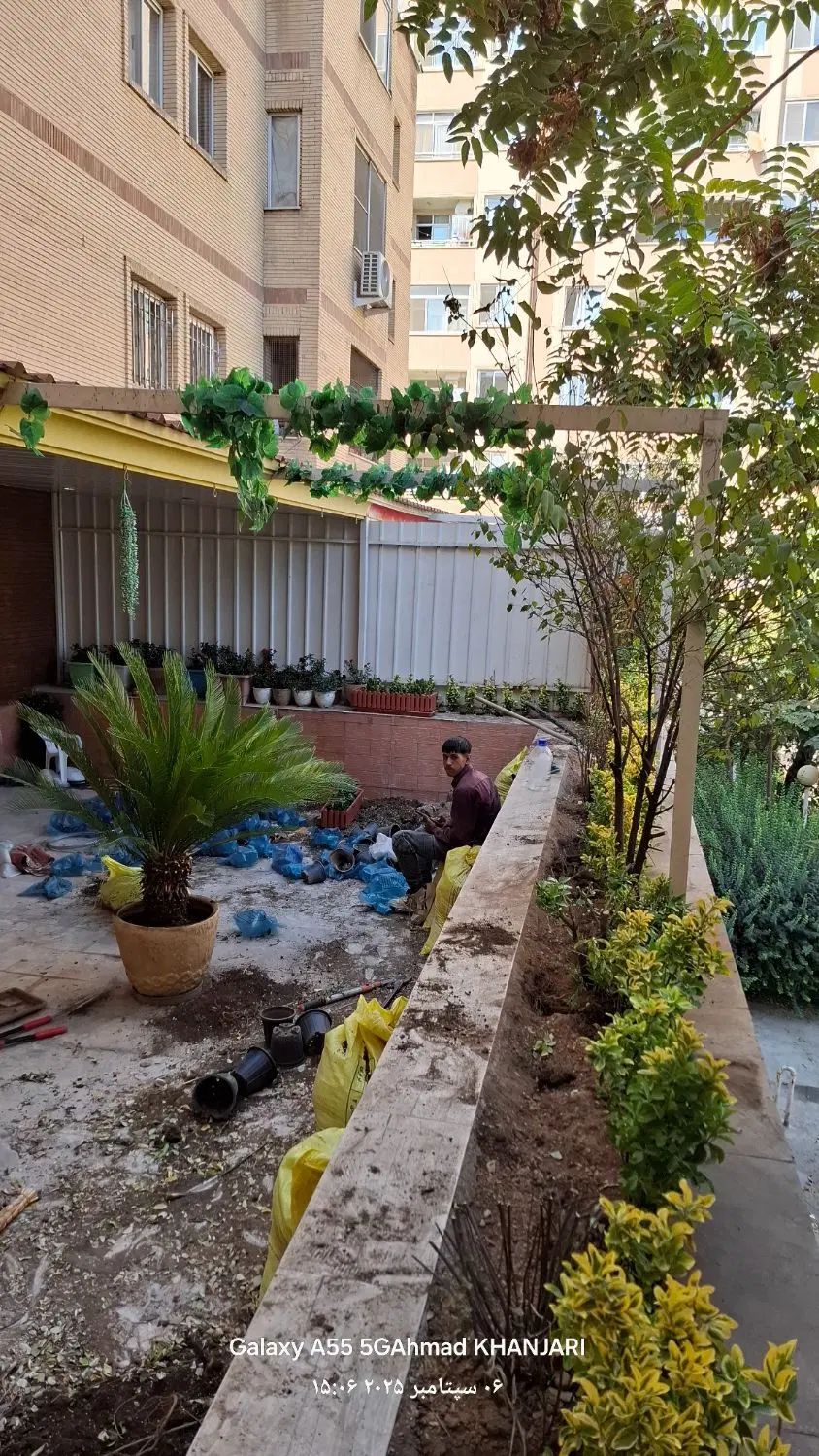 باغبانی درب منزل رسیدگی به باغچه وگلدون آپارتمانی|خدمات باغبانی و درختکاری|تهران, شهرک غرب|دیوار