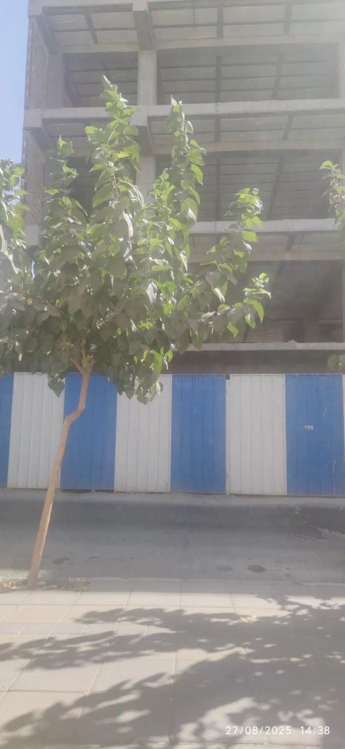 پیش فروش آپارتمان 125متری طالقانی جنوبی|فروش آپارتمان|کرج, چهارصد دستگاه|دیوار