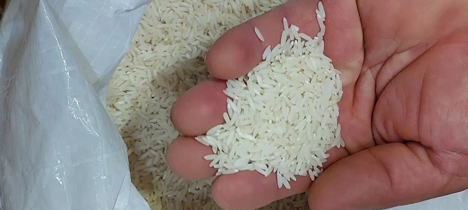 برنج‌هاشمی‌درجه‌۱محصول۱۴۰۴|خوردنی و آشامیدنی|رشت, گلباغ نماز|دیوار