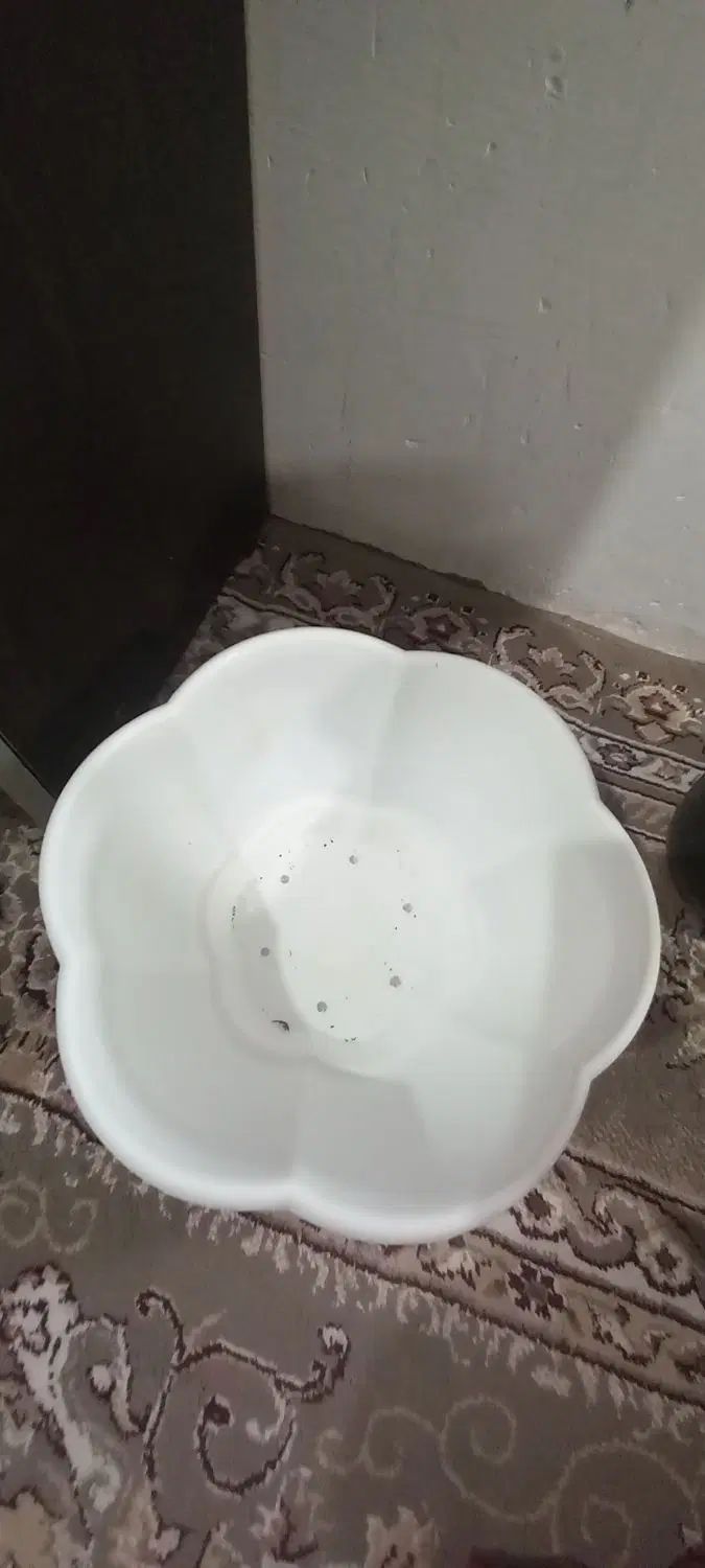 در حد نو|گل مصنوعی|مشهد, طبرسی شمالی|دیوار