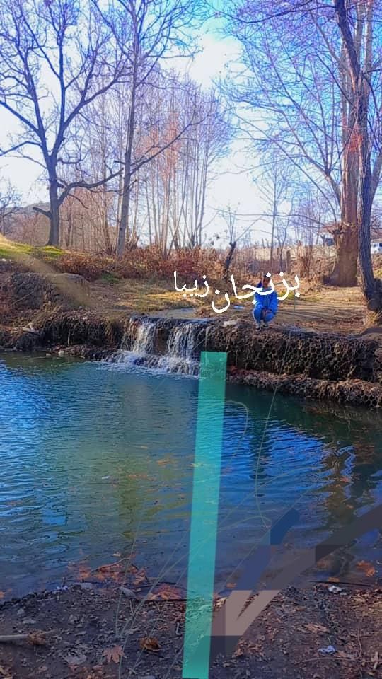 خونه باغ مبله بزنجان|اجارهٔ کوتاه‌مدت ویلا و باغ|بافت, |دیوار