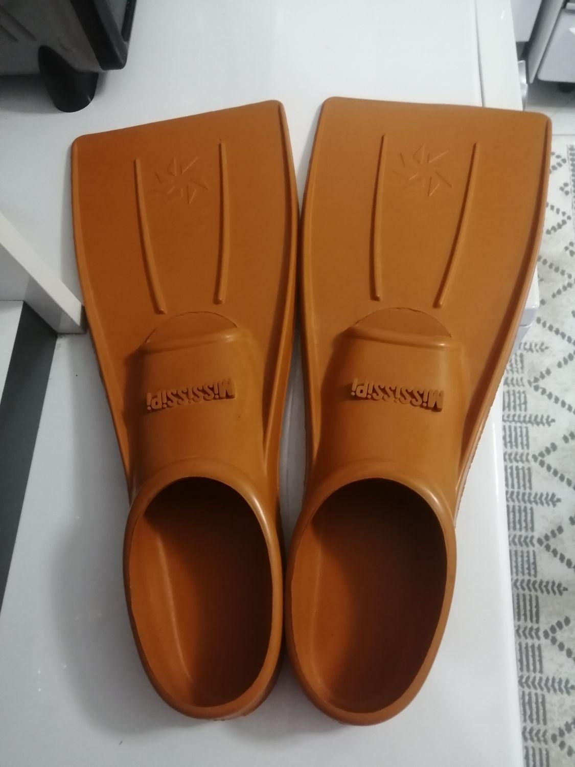 فین غواصی|غواصی و ورزش‌های آبی|نیشابور, دارایی|دیوار