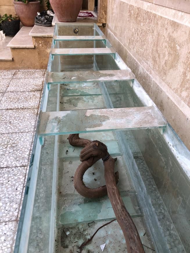 اکواریوم حرفه ای بزرگ|ماهی|گنبد کاووس, |دیوار