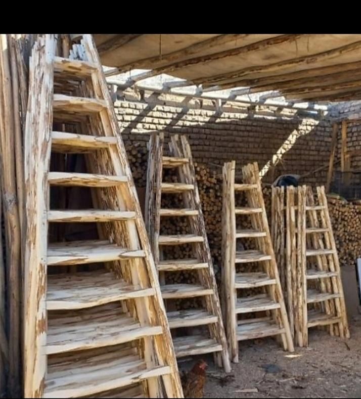 اجاره نردبان دو طرفه ویک طرفه چوبی تخته وبشکه|خدمات پیشه و مهارت|مشهد, وحید|دیوار