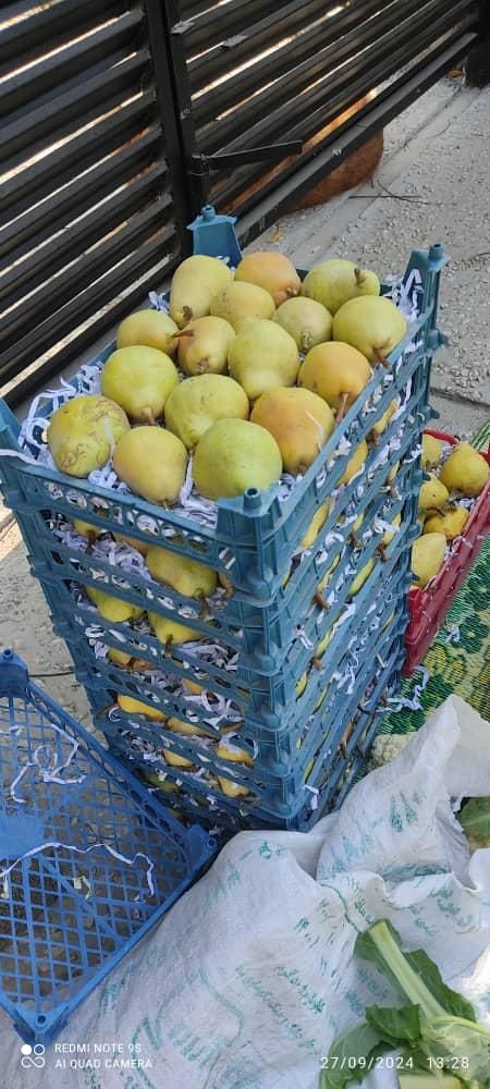 گلابی|خوردنی و آشامیدنی|کرج, شهرک اوج|دیوار