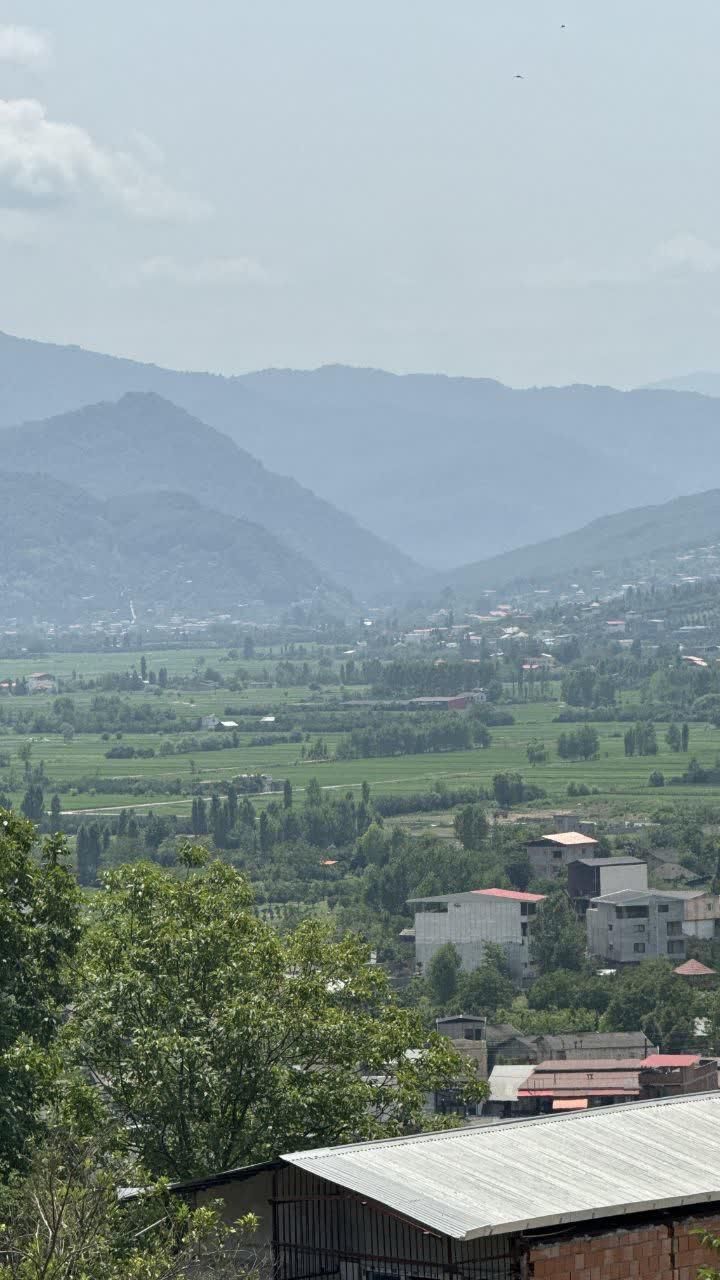 زمین ۳۰۰ متری ویودار در لوکیشن سریال پایتخت|فروش زمین و ملک کلنگی|بابل, |دیوار