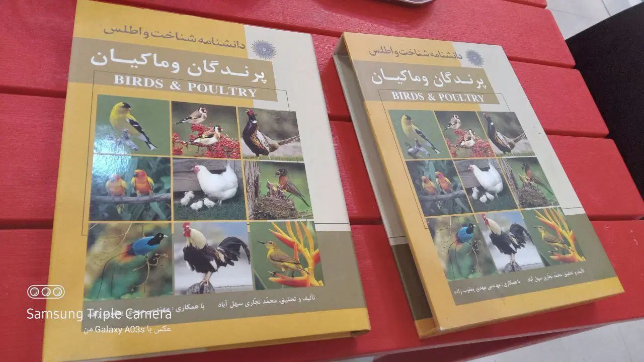 دانشنامه پرندگان و ماکیان|کتاب و مجله ادبی|مشهد, راهنمایی|دیوار