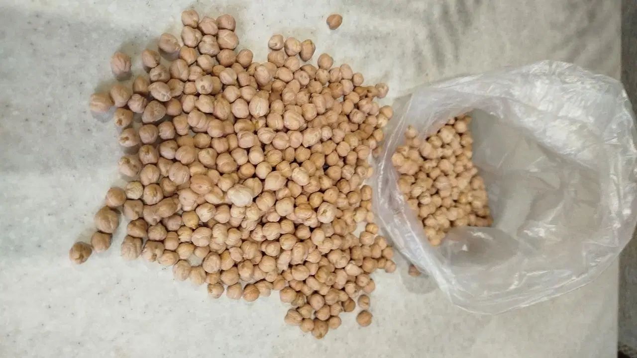 نخود آبگوشتی‌ ۱۲۰ فلافلی ۱۱۰در منزل خرید فروش میشه|خوردنی و آشامیدنی|پردیس, فاز ۲|دیوار