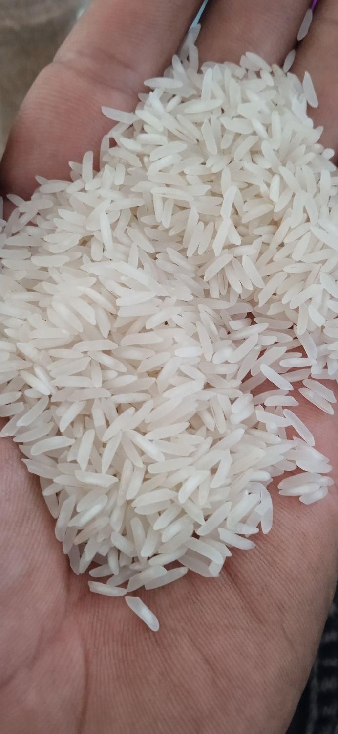 برنج طارم و فجر عمده با ارسال رایگان قرچک|خوردنی و آشامیدنی|قرچک, داوود آباد|دیوار