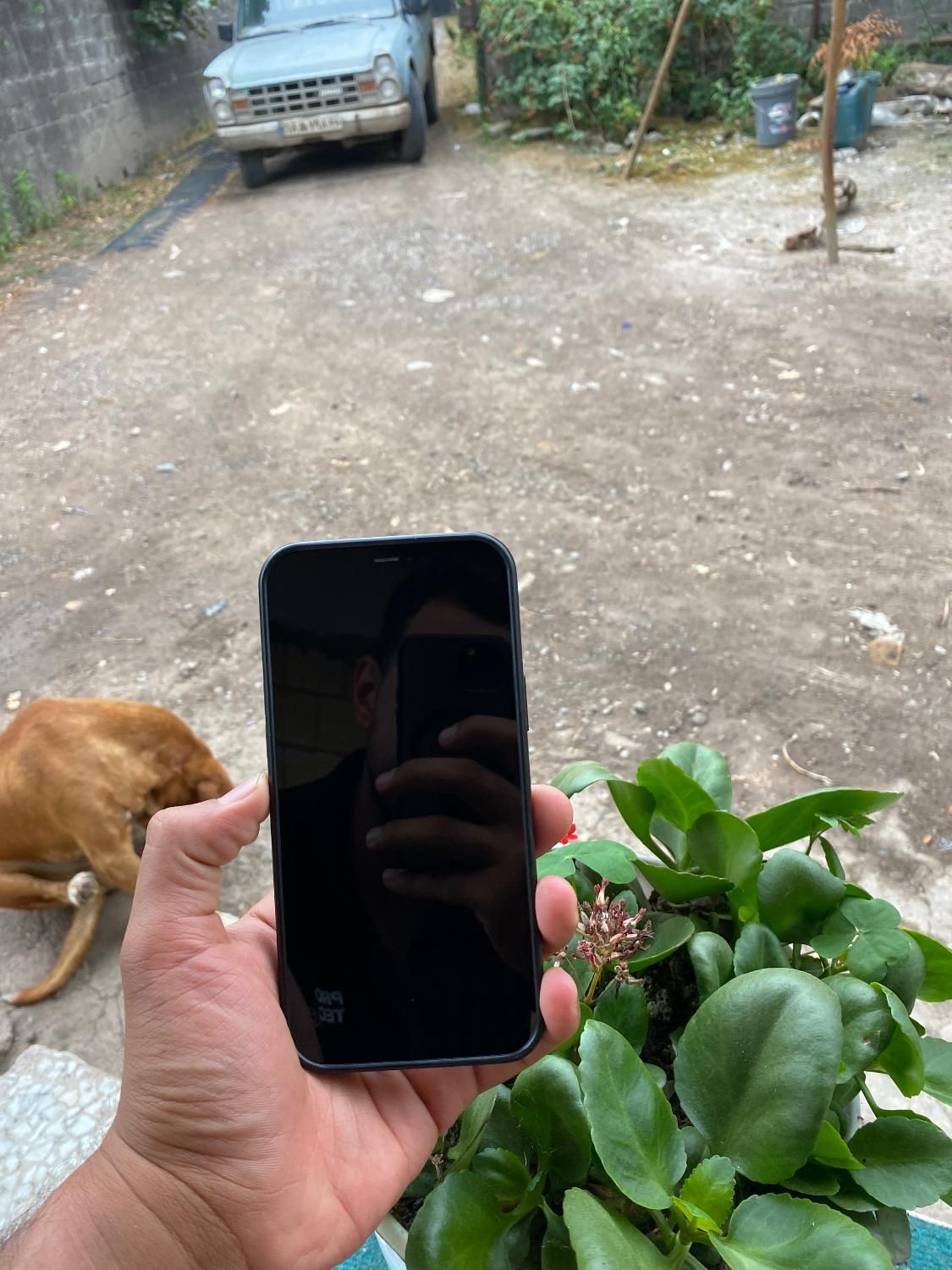 Iphone 12 pro max 256|موبایل|رشت, پل تالشان|دیوار