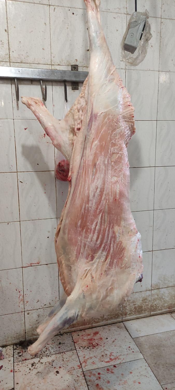 حلیم و آش نیشابوری شاهزاده علی اکبر (ع)|خدمات پذیرایی، مراسم|نیشابور, فردوسی جنوبی|دیوار