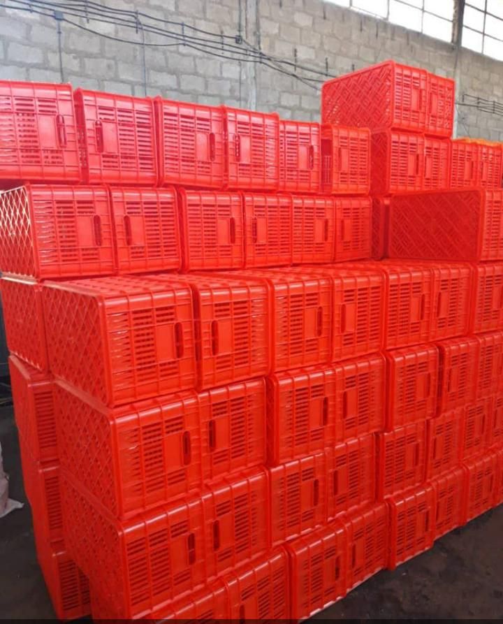 تولیدسبدخرماسبد میوه 20 و 25ک سبد میگوگلدان|عمدهفروشی|شیراز, وحدت|دیوار