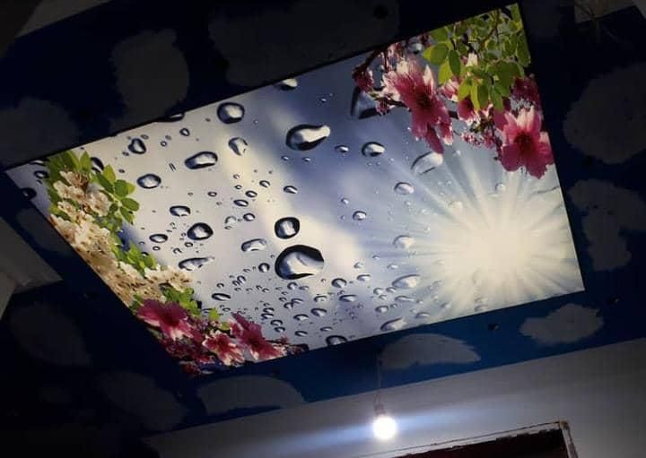 مجری انواع سقف های کشسان|خدمات پیشه و مهارت|رشت, حمیدیان|دیوار