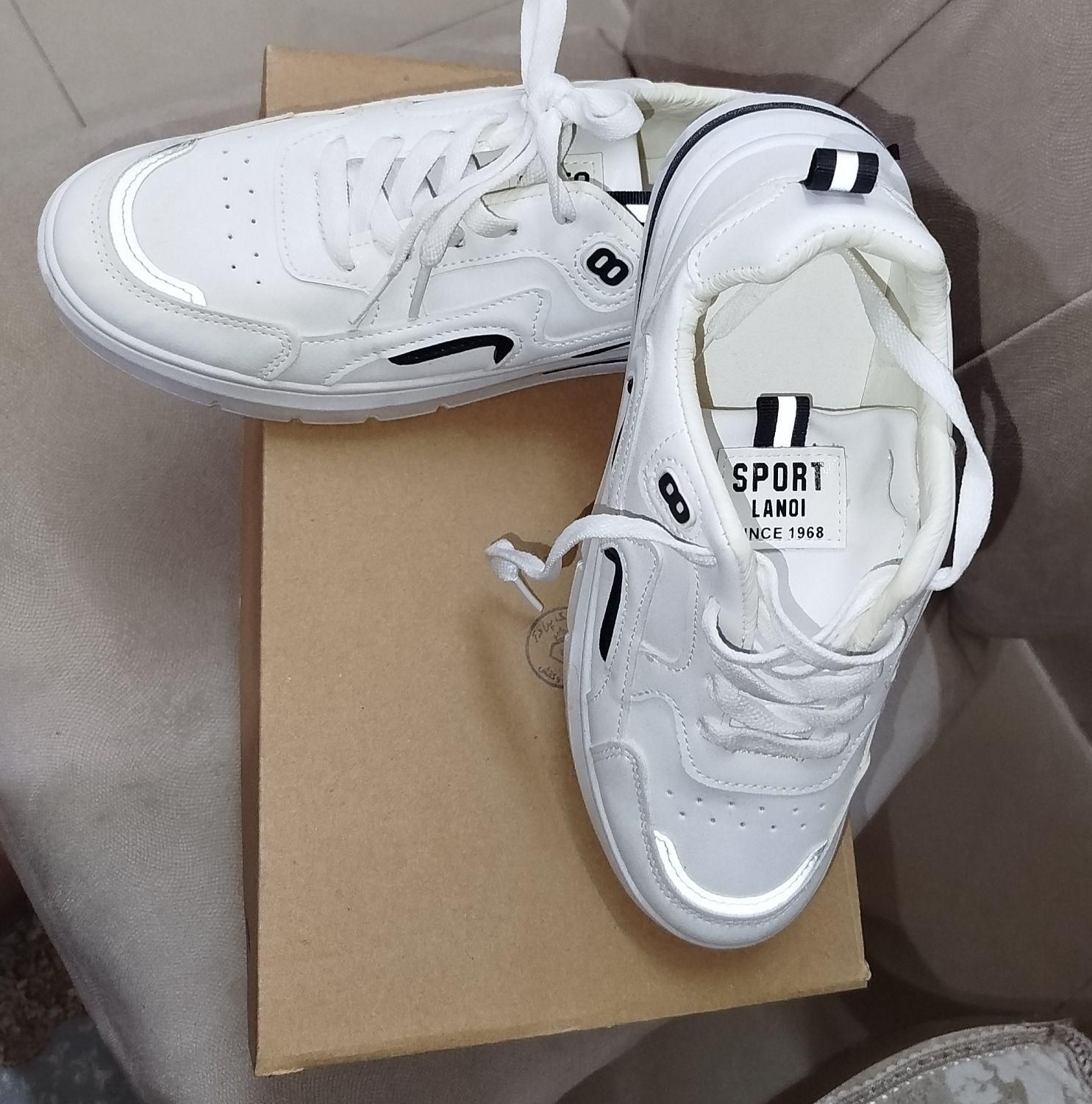 کفش کتونی|کیف، کفش، کمربند|خوی, |دیوار