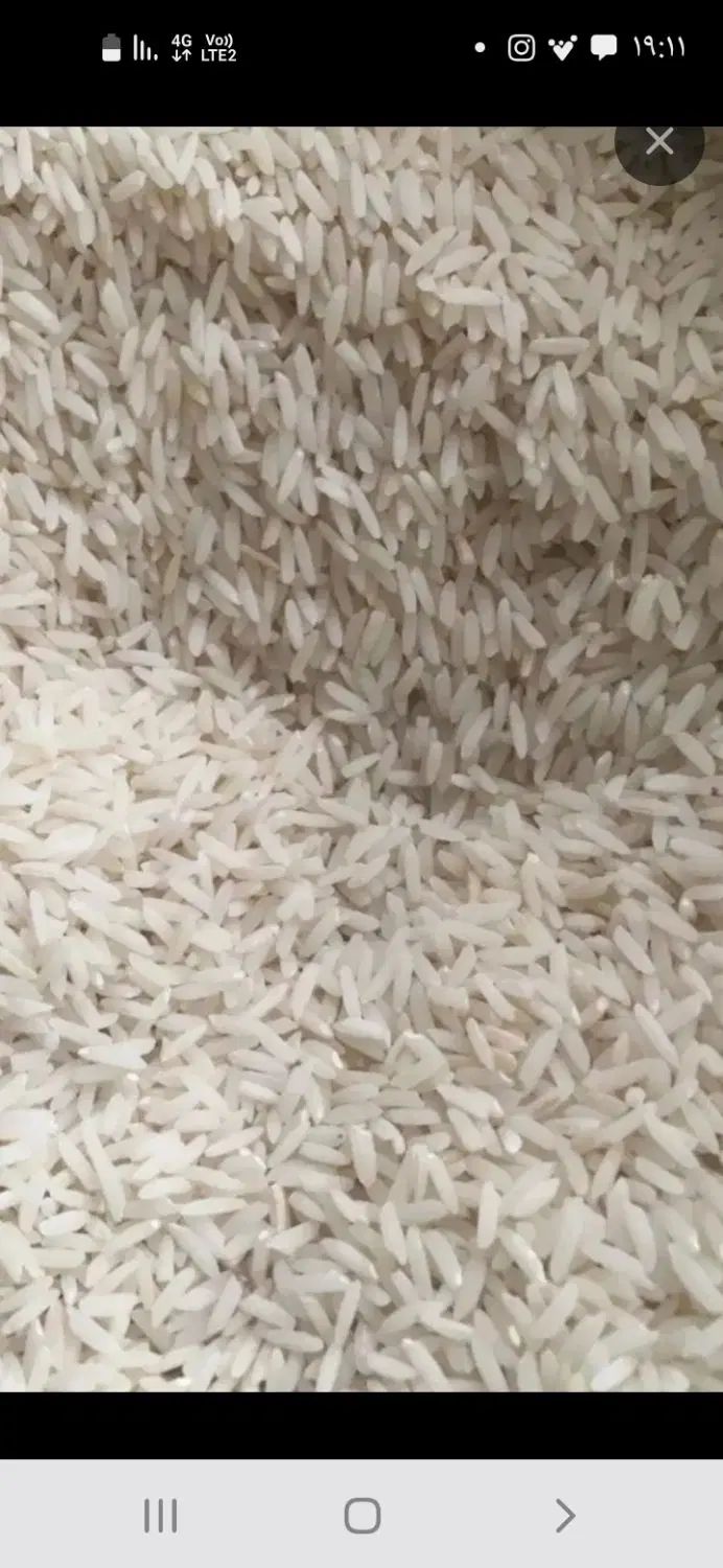 برنج هاشمی|خوردنی و آشامیدنی|تهران, شهرک فردوس (حسینی)|دیوار