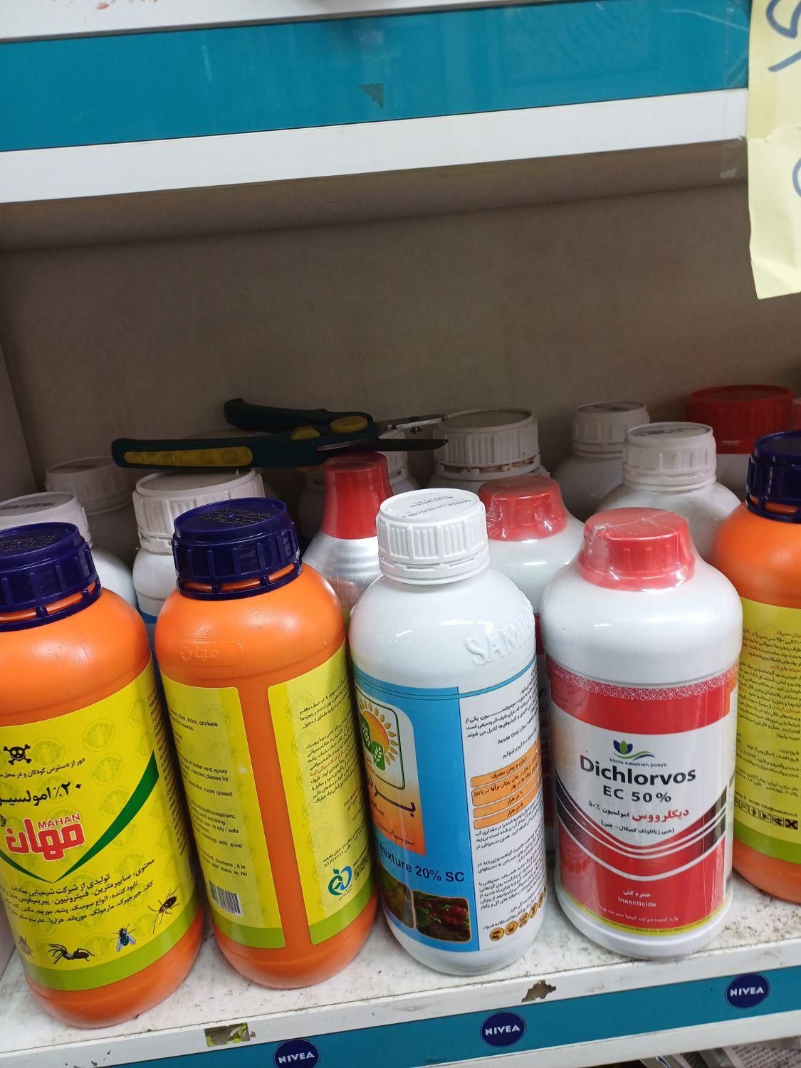 سمپاشی تضمینی کلیه حشرات خانگی(مخصوصاساس) وجوندگان|خدمات نظافت|تهران, پامنار|دیوار