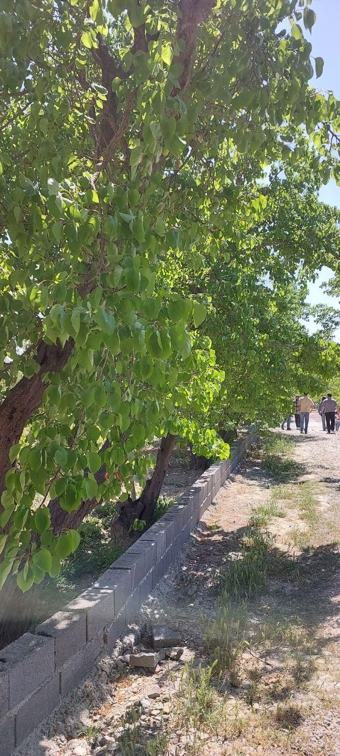 ۲۵۰مترباغ وباغچه منطقه شهریار فول امکانات|فروش خانه و ویلا|شهریار, شهریار|دیوار