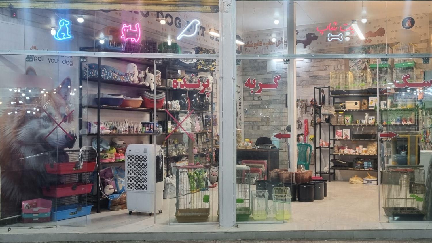 لوازم حیوانات خانگی میوداگ|لوازم جانبی حیوانات|فیروزآباد (فارس), |دیوار