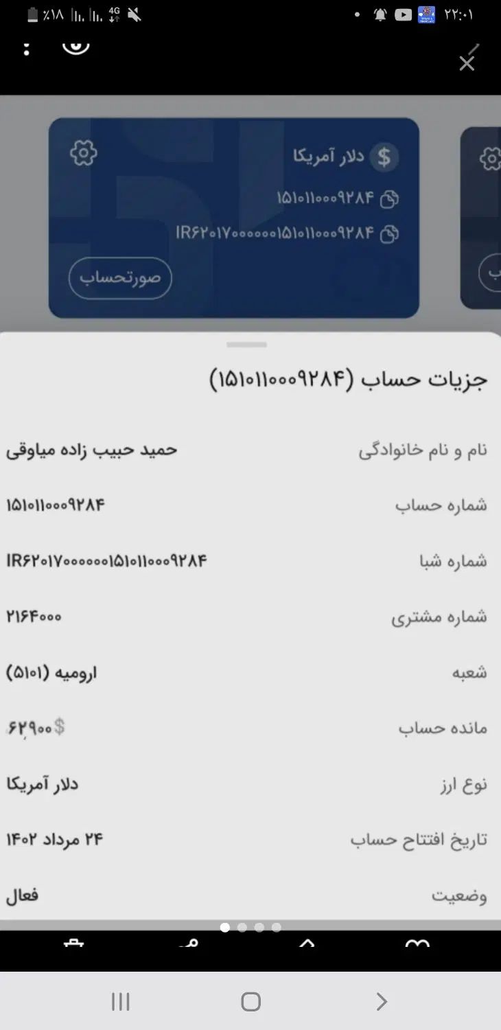 سرمایه‌گذاری در واردات خودروهای خدماتی (دولتی)|استخدام مالی، حسابداری، حقوقی|ارومیه, |دیوار