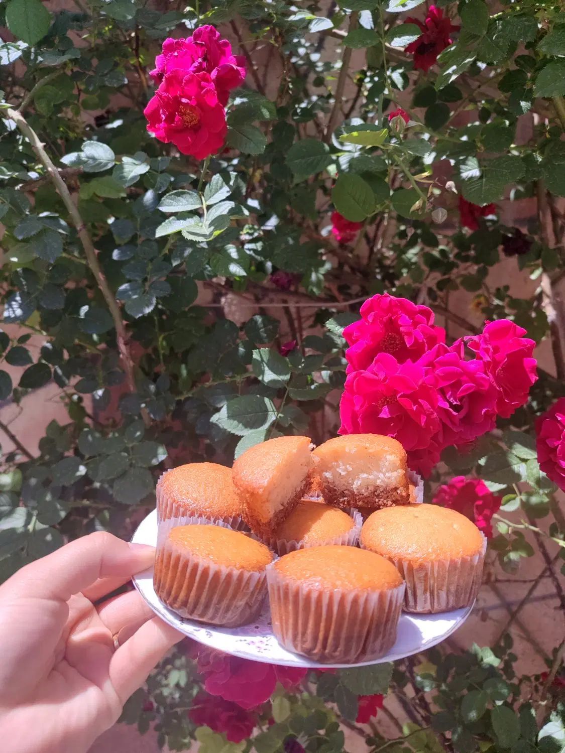 کیک خونگی|خوردنی و آشامیدنی|مشهد, طلاب|دیوار