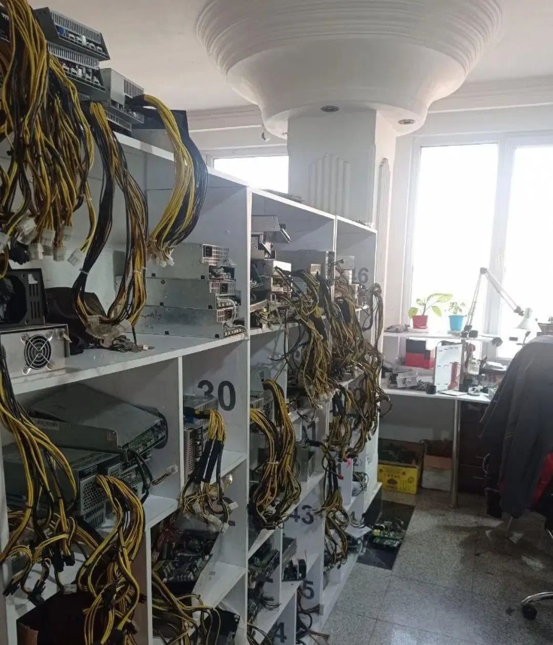 تعمیرات ماینر تخصصی whatsminer|خدمات رایانه‌ای و موبایل|تهران, شهرک گلها (تهرانسر)|دیوار