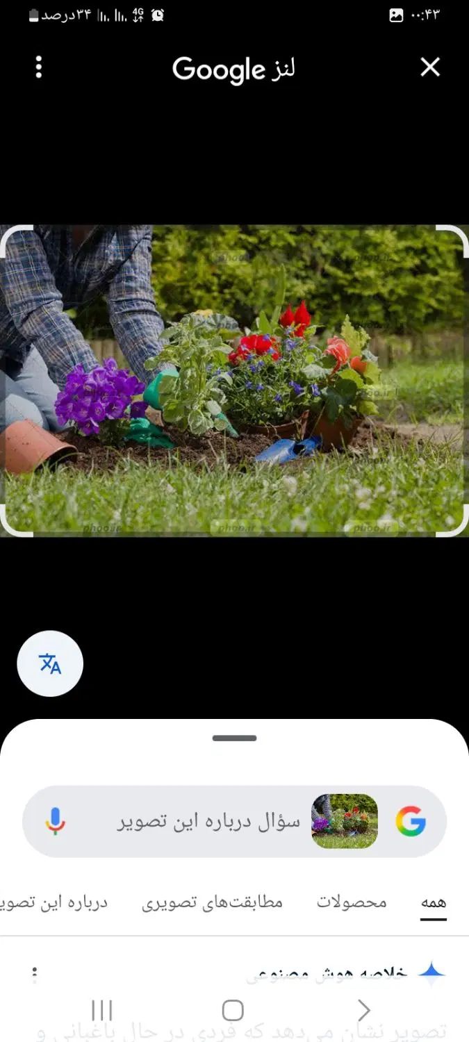 کاشت گل وگیاه و باغبانی.کوددهی وتعویض خاک|خدمات باغبانی و درختکاری|یزد, |دیوار