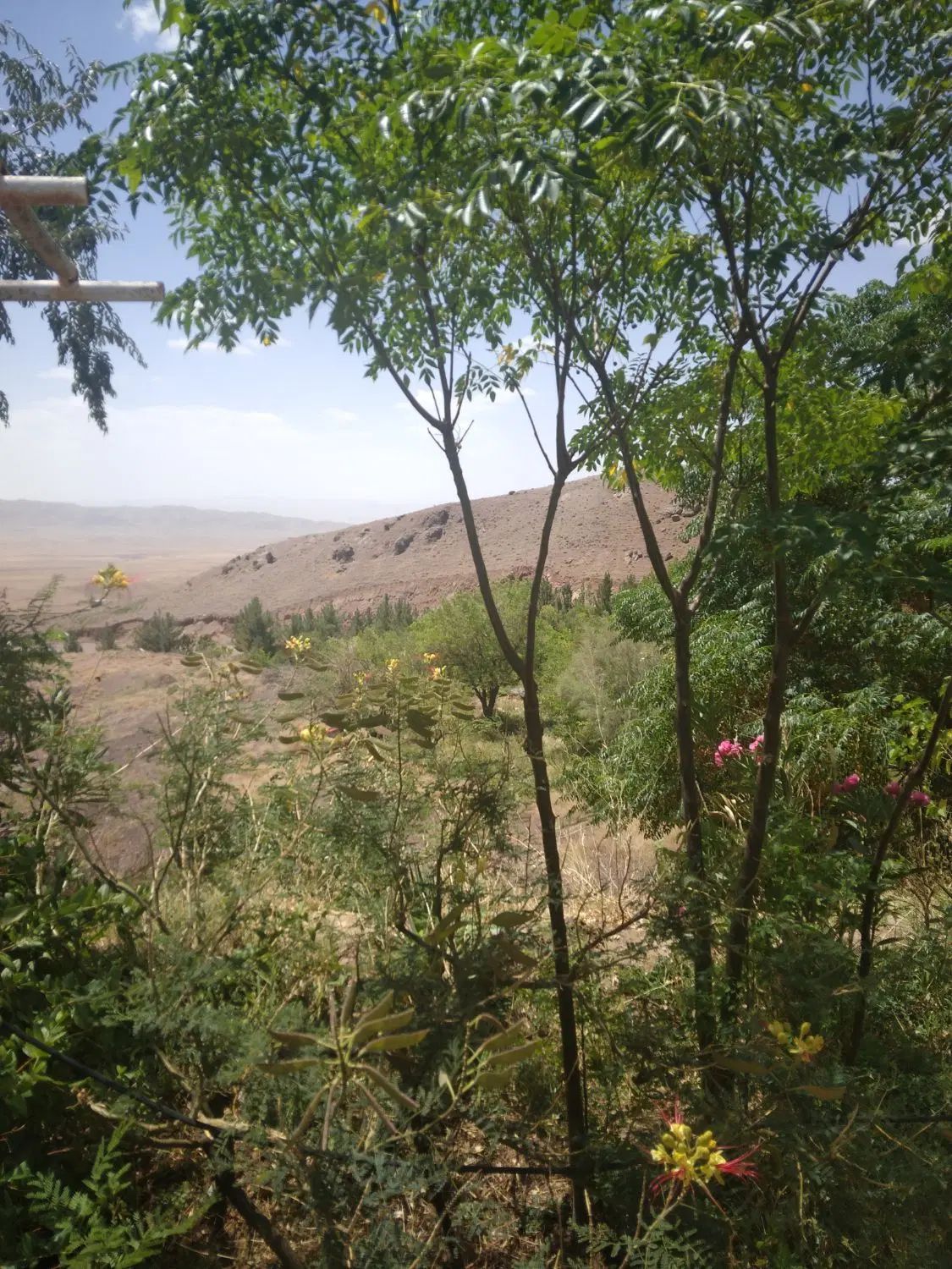 طبیعت گردی|کوهنوردی و کمپینگ|مشهد, هفت تیر (حافظ)|دیوار