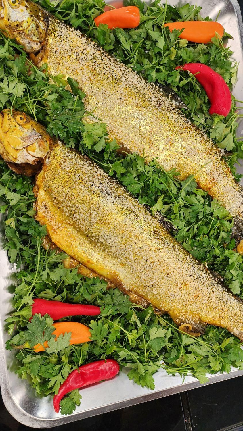 انواع ماهی قزل سالمون تازه شکم پر طعم دار شده آوات|خوردنی و آشامیدنی|اصفهان, گلزار|دیوار