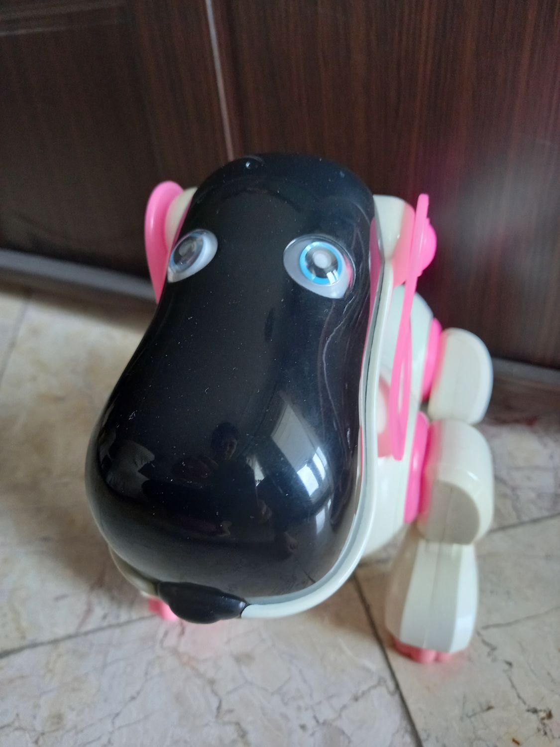 اسباب بازی (سگ رباتیک)|اسباب‌‌بازی|رشت, گلسار|دیوار